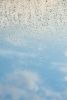 DSC_9141.thumb.jpg.772f32e5d0187952f14d54fbdd7b0811.jpg