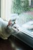 DSC_9157.thumb.jpg.41dd86a3c91b4a74fa9a7379cd8b616a.jpg