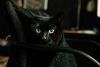 DSC_9244.thumb.jpg.8842e1d5b86ec68de299cbfdf029d769.jpg