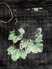 IMG-20180731-WA0002.jpg