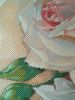IMG_20180201_192202.thumb.jpg.49adf473a9f961f6996540b7e7a0d87e.jpg