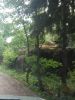 IMG_20180701_181423.thumb.jpg.93c0578784ef90199ac7998ccbc83eb1.jpg
