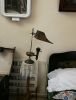 IMG_20180702_121705.thumb.jpg.fb9f2144d3edffd4bf6d9c204b063f32.jpg