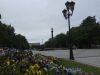 IMG_20180702_142439.thumb.jpg.0ff4122f9dd530e3d11670a025f850d0.jpg