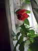IMG_20180703_091734.jpg