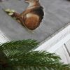 IMG_20180703_233631_500.thumb.jpg.7fbab90df3c15e74a3d8b26755d0900e.jpg