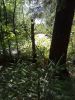 IMG_20180707_170410.thumb.jpg.f03442dff96f08dd5f856fd2c362a04c.jpg
