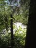IMG_20180707_170417.thumb.jpg.1320fa8e94a84e9e21fa79fff51f2177.jpg