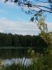 IMG_20180707_172445.thumb.jpg.2954673d88f85d715f74a15ee8bc5612.jpg