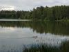IMG_20180707_174253.thumb.jpg.d75e3ef0160767ac7cd61c47edd0fd63.jpg