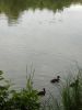 IMG_20180707_183931.thumb.jpg.16dc32130af831971aaa584af5dac8b0.jpg