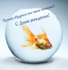 IMG_20180710_123219.thumb.png.2cbd08d416183f044b2b924dfe2c4803.png