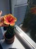 IMG_20180711_150357.jpg