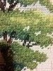 IMG_4808.thumb.JPG.b572b7a1c3db8e4f2d927d7ba78863a6.JPG?1531728220204