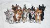 Janlynn_038-177_1.JPG