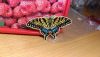 P_20180629_235531_vHDR_On.jpg