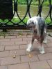 P_20180721_115037_1_p.thumb.jpg.b17536b26b1b96bc2d868505469ce8f5.jpg
