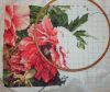 Peonies13.thumb.jpg.22639a9543c1053105e86e316d24103b.jpg