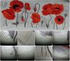 collage.jpg.bde54915d4e60a4171334846083f11d5.thumb.jpg.95c4e8ca2a44a1ed66df26b12a9141eb.jpg
