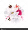 depositphotos_155444672-stock-illustration-elegance-flowers-bouquet-of-white.thumb.jpg.5631bb5adb5aaf3b49198881cba8bc50.jpg