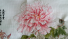 1002.thumb.png.288cce84ef911a77f2f68979cef540dc.png