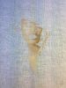 2.thumb.JPG.0eeb1b211bc0e63f9d7f5f87c506fb4a.JPG