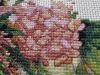 2.thumb.jpg.399824daab7b652c6d281be66755b083.jpg