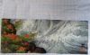 20180621_120743.thumb.jpg.a2c8c721b55d21932eac907e1fac9e1f.jpg