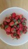 20180804_200728.thumb.jpg.cc61c8e74699f5c082125be3d7895d43.jpg?1533490985978