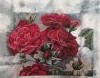 20180805_070120.thumb.jpg.be52041fa1333f1be18b5131f4fadc2d.jpg?1533445527842