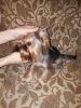 20180809_203838.thumb.jpg.a23448c1b65bc0d5168a6f55d9c7ebe7.jpg