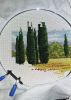 20180812_181801.thumb.jpg.d13e4b50776efbcb539361509593bb93.jpg