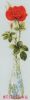 25189.thumb.jpg.ffced3fc7fa33a65ff9befa8ace252b7.jpg
