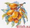 42362.thumb.jpg.6dd83a4be010397bd9e9fa914721aee5.jpg