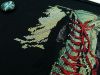 5b677fee6e86a_-M641-7-2.thumb.jpg.89e35aa83718685f183ea978239ae531.jpg