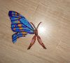 Butterfly4-2.thumb.jpg.3b938d0fd0457ef3ba8147ac704a46fb.jpg