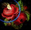 C4246CF1-BF86-4ACE-A4F4-2A0DB5A8F70A.jpeg
