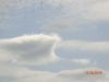 DSC00050.thumb.JPG.49d429c906b9585d84d16fa963c513e2.JPG
