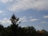DSC00061.thumb.JPG.c57599132336bccd9cf8618f6a69e099.JPG