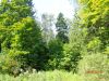 DSC00198.thumb.JPG.7f8bc04074577af2beed3cc233a6d8ff.JPG