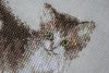 DSC01594_1.thumb.jpg.86f887475e7e46ae396930f9f5902532.jpg