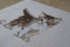 DSC01599_1.thumb.jpg.c00517e61c6d744a73cd8ab6235a6923.jpg