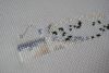 DSC01619_1.thumb.jpg.c449a3bb98c8046c1cba1a9e99be375e.jpg