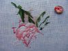 DSC02417_.thumb.jpg.33092bc53df4aa7a499b4af2be2563ad.jpg