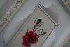 DSC03717.thumb.JPG.3a560b443c27dfb37cef79e73de9efbf.JPG