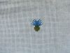 DSC04444.thumb.jpg.abb7c9ac1df6cc40bb6f8870be1fbc50.jpg