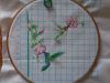 DSC04581.thumb.JPG.c87bb70cf27fd360021492e800fc61a8.JPG