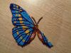 DSC04582.thumb.JPG.e07548ac4dd92d6c7067f39325804103.JPG