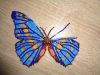 DSC04612.thumb.JPG.d92c126090dcd30c2c8f4f70087a4f41.JPG