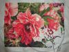 DSC04666.thumb.JPG.db700a974adab14304fe1f7f1636f78f.JPG